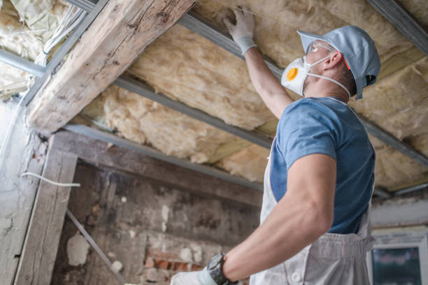 Best Insulation Maintenance and Repair in Abingdon, IL