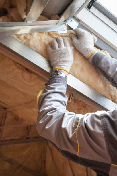 Professional Insulation Contractor in IL