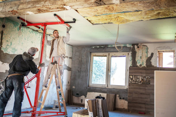 Best Insulation Installation Services in Abingdon, IL