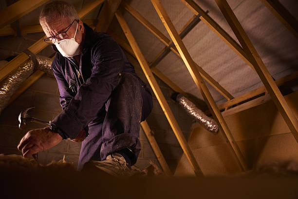 Best Insulation Installation Services in Abingdon, IL
